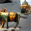 86469-nickyand-cows-122-553lo
